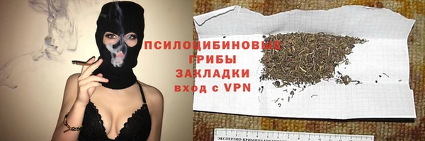 apvp Богородск