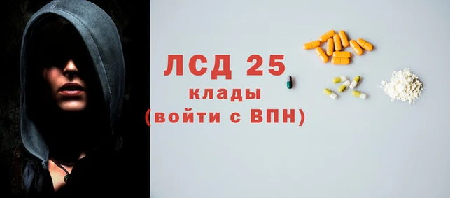 спайс Богданович